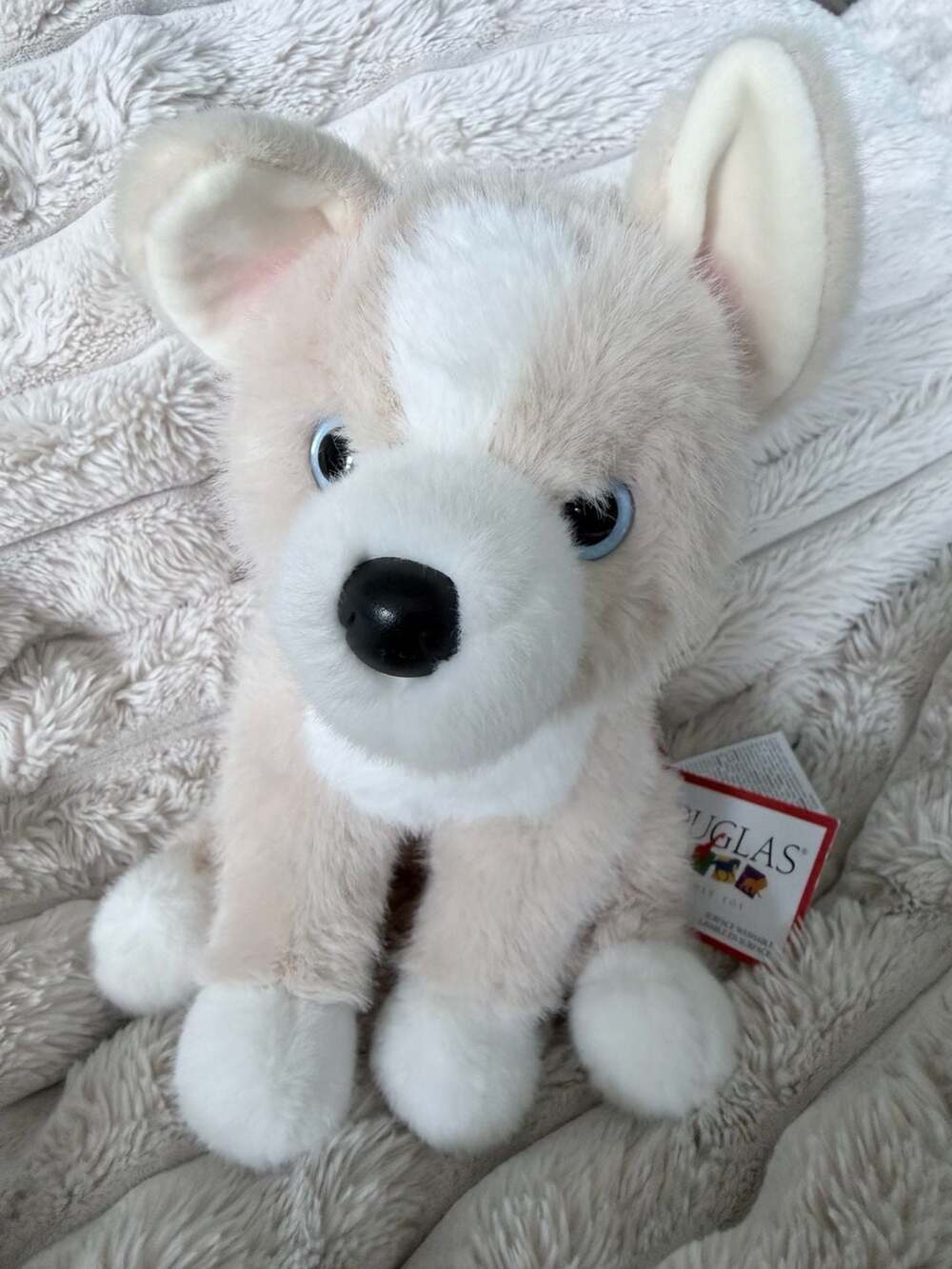 Douglas Pookie Pomsky Dog Plush 9" Stuffed Animal 4587